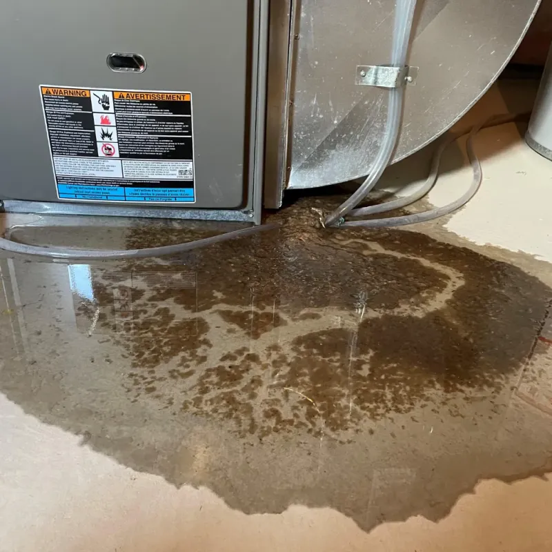 Appliance Leak Cleanup in Gold Bar, WA